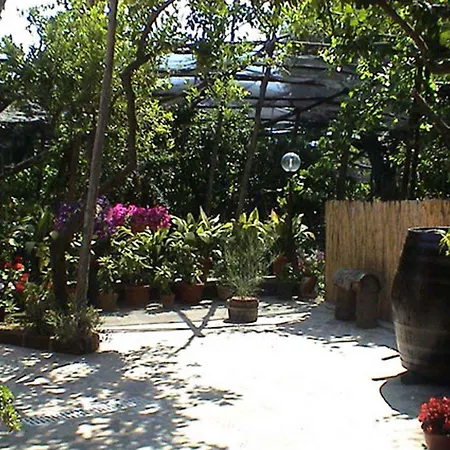 1 * Sorrente