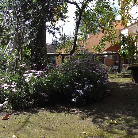 1 * Sorrento