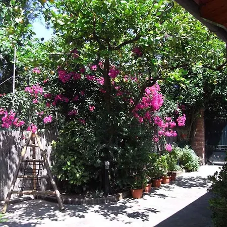 Apartment 1 Sorrento