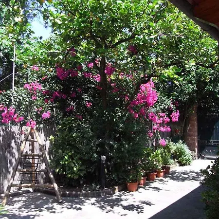 1 * Sorrento