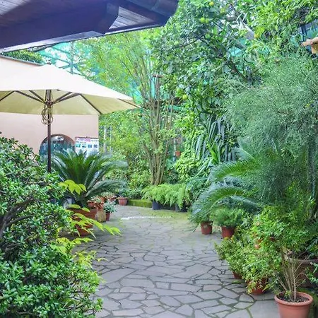 1 * Sorrento